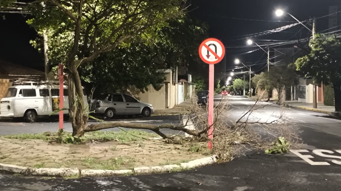Foto 49 de 67 — TEMPORAL EM FOTOS: veja imagens de destruição em Araraquara
